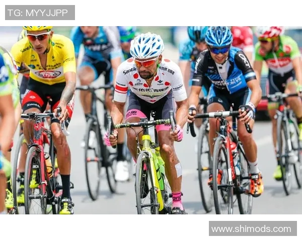 杭州乒乓球队在洲际杯积分榜上以100分稳居第一名展现强大实力